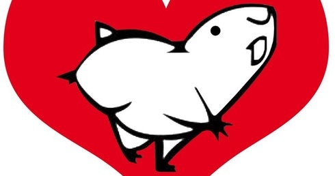 Daj drugie życie rzeczom