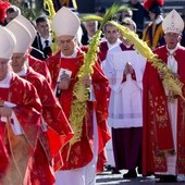 Papież: Wybierzcie drogę pokory a nie sukcesu!