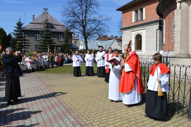 Nowotarżanie z palmami 