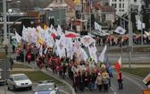 Marsz dla Życia w Zielonej Górze