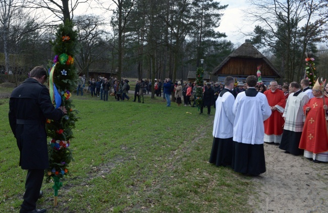 Niedziela Palmowa w Radomiu