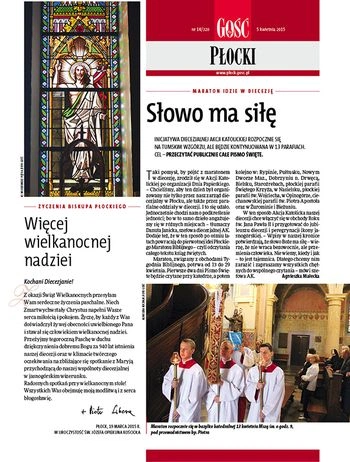 Płocki 14/2015