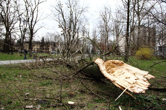 Silny wiatr w Małopolsce