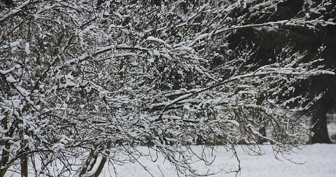 Śnieg w Lubuskiem