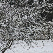 Śnieg w Lubuskiem