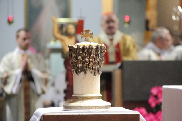 Relikwie "białego zakonnika" w Wilanowie