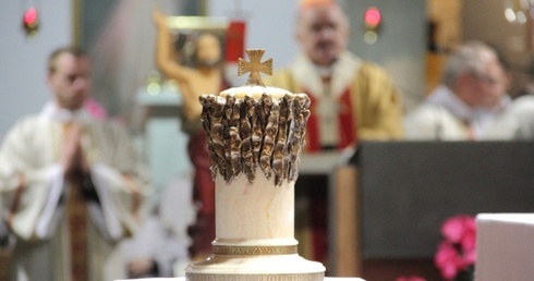 Relikwie "białego zakonnika" w Wilanowie