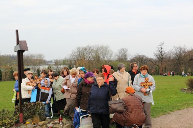 Niedziela Miłosierdzia w Łagiewnikach - 2015. Cz. 3