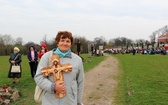 Niedziela Miłosierdzia w Łagiewnikach - 2015. Cz. 3