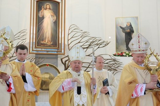 Niedziela Miłosierdzia w Łagiewnikach - 2015. Cz. 2