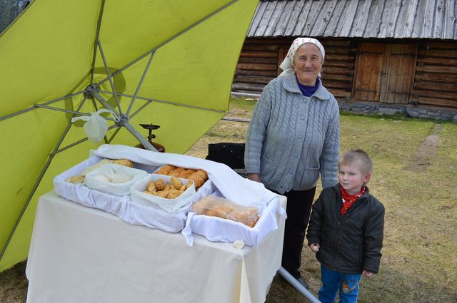 Krokusy w Chochołowskiej