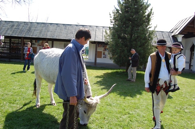 Święto Bacowskie w 2014 r. 