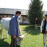 Święto Bacowskie w 2014 r. 