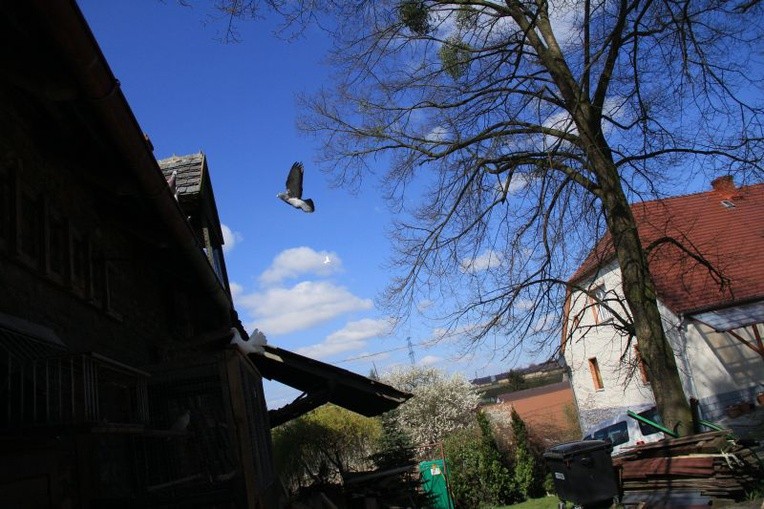 Poświęcenie dzwonów w Kluczu