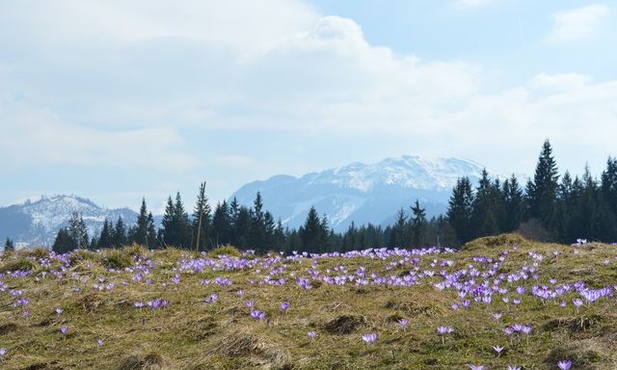 Lawina pod Rysami