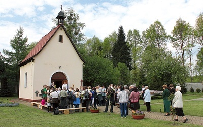  Do Maryi pielgrzymują rzesze wiernych