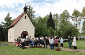  Do Maryi pielgrzymują rzesze wiernych