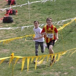 Cross Straceńców