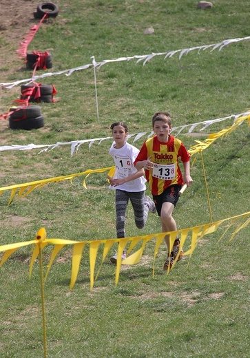 Cross Straceńców