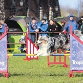 – By sprawnie pokonywać przeszkody, potrzebna jest współpraca przewodnika oraz psa, dobre porozumienie, a niekiedy nawet czytanie przez zwierzę w myślach człowieka  – mówi Anna Kulawiak