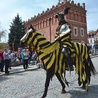  Wjazd Zawiszy Czarnego na sandomierski rynek