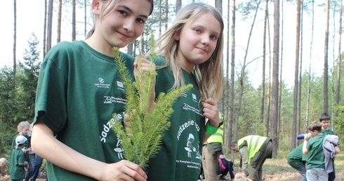 Nowy las będzie długo szumiał