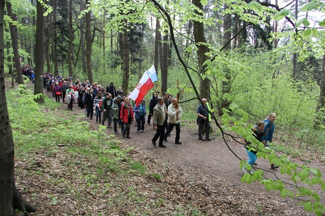 Chwalcie górę umajoną - Majówka na Ślężę