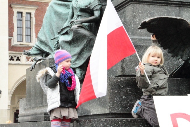 Flaga na Wawelu - dziękujemy