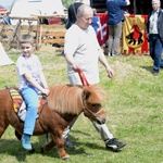 Turniej rycerski w Iłży