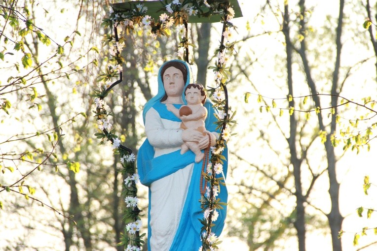 Majówka w Faściszowej