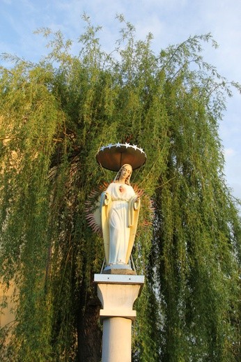 Majówka w Mościcach 