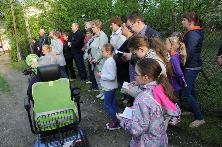 "Majowe" na Dolnym Borze w Skoczowie