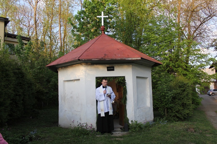 "Majowe" na Dolnym Borze w Skoczowie