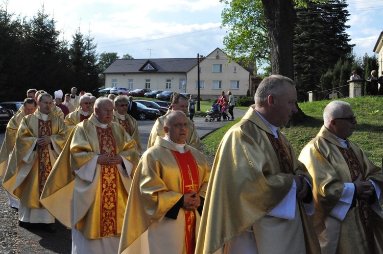 Nawiedzenie w Pleśnej