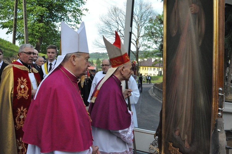 Nawiedzenie w Pleśnej