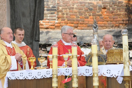 Procesja ku czci św. Stanisława z Wawelu na Skałkę cz. 3