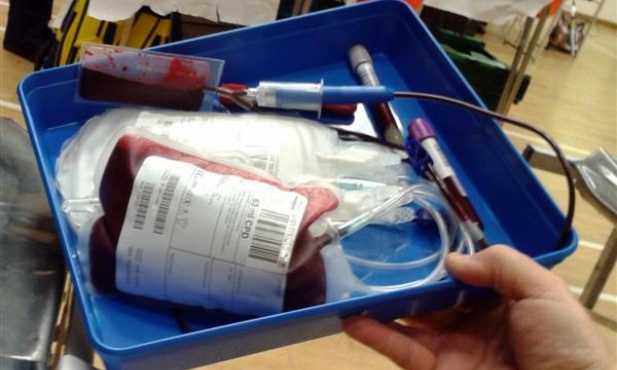 USA: Gej krew ci odda?