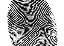 Człowiek to dusza, ciało i Duch Święty