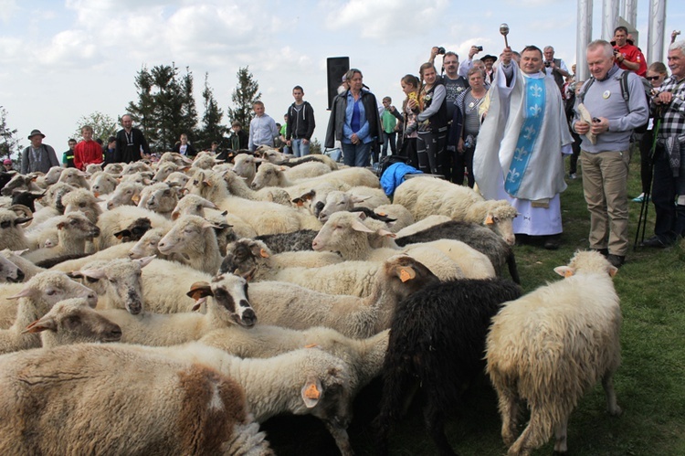 VII Rajd "Szlakami św. Jana Pawła"  na Bendoszkę - cz. 2