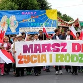 W zeszłym roku Marsz dla Życia i Rodziny po raz pierwszy przeszedł ulicami Kutna