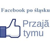  Śląski Facebook. Lubię to?