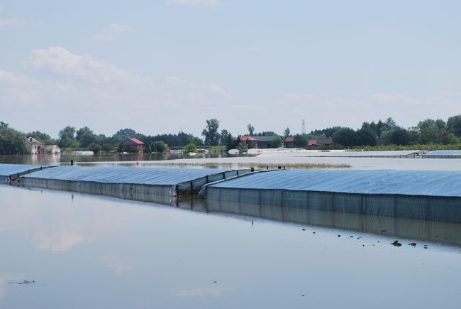 Ogrom zniszczeń 