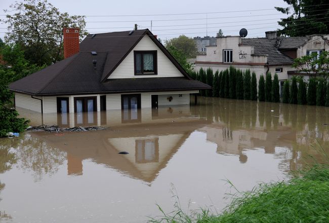 Ogrom zniszczeń 