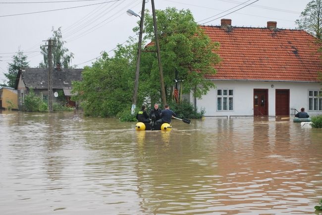 Ogrom zniszczeń 