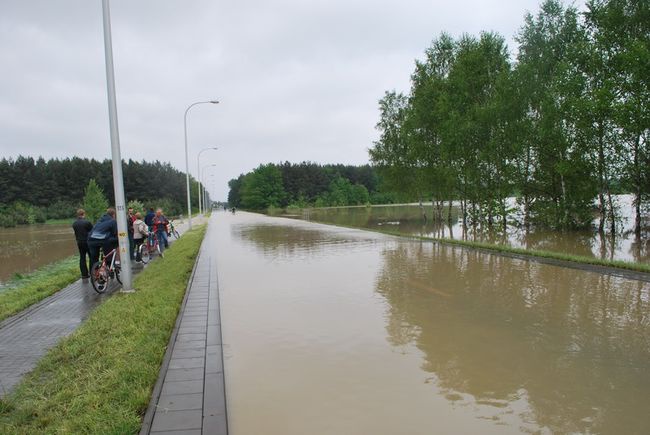 Ogrom zniszczeń 