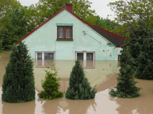 Ogrom zniszczeń 