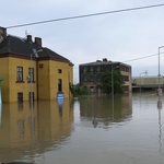 Ogrom zniszczeń 