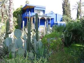  Majorelle