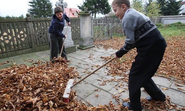 Służba: to działa!