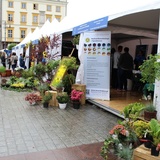 Festiwal Nauki 2015